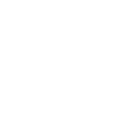 Professional cleaning icon
