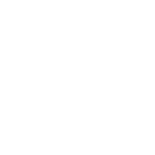 Quality check icon